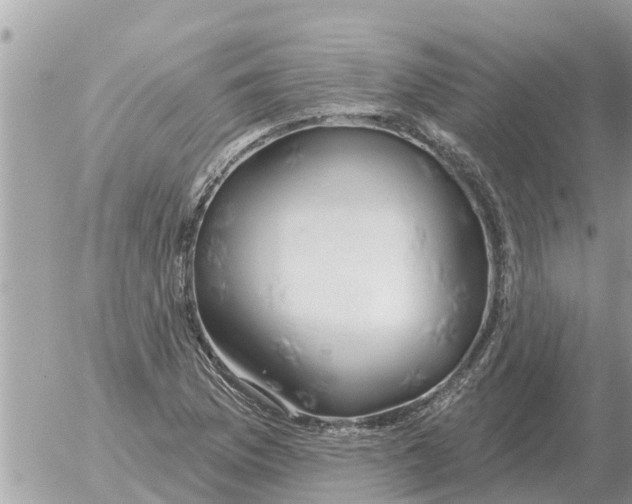 X0000054441169200508270005