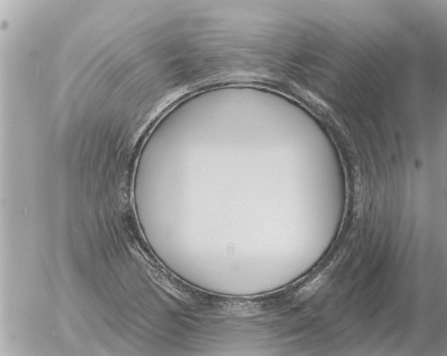 X0000054441170200508270005