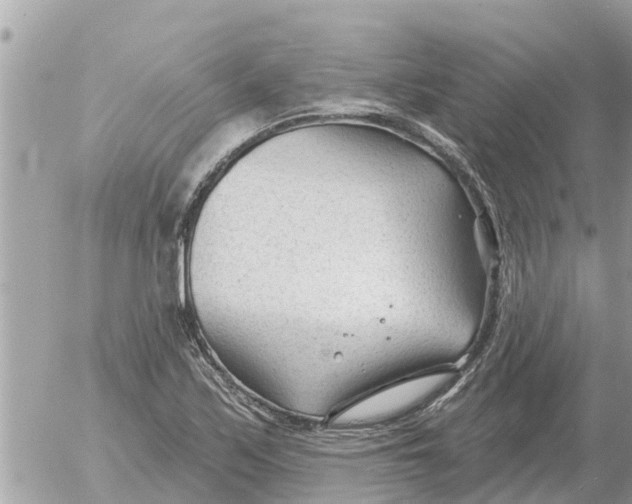 X0000054441171200508270005