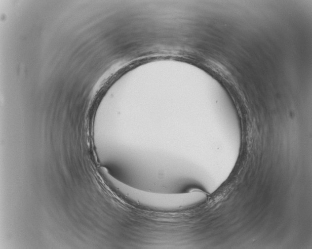 X0000054441172200508270005