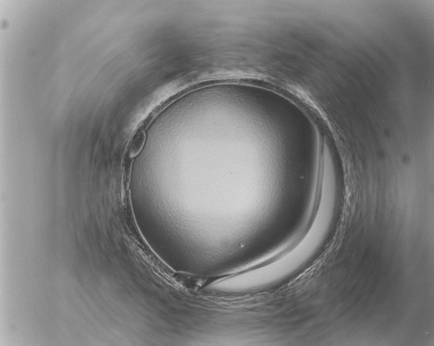 X0000054441173200508270005