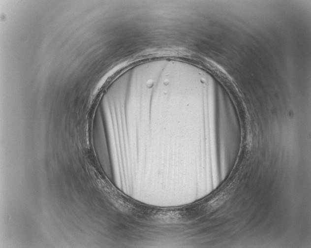 X0000054441174200508270005