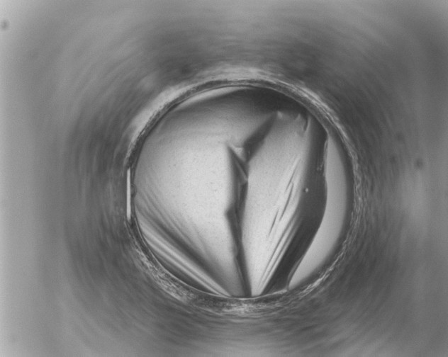 X0000054441175200508270005