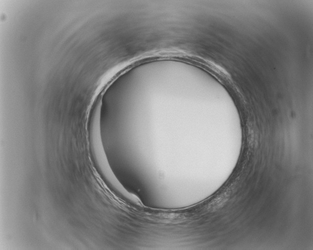 X0000054441176200508270005