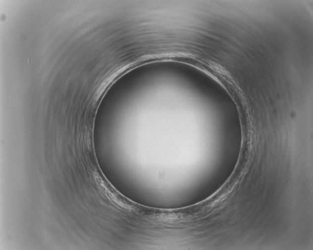 X0000054441177200508270005