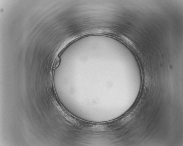 X0000054441178200508270005