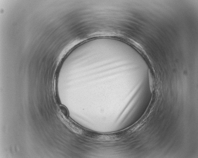 X0000054441179200508270005