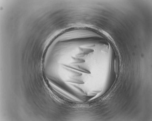 X0000054441183200508270005