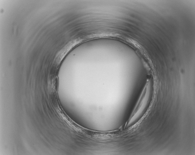 X0000054441185200508270005