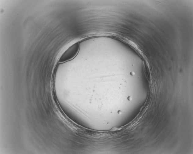 X0000054441187200508270005