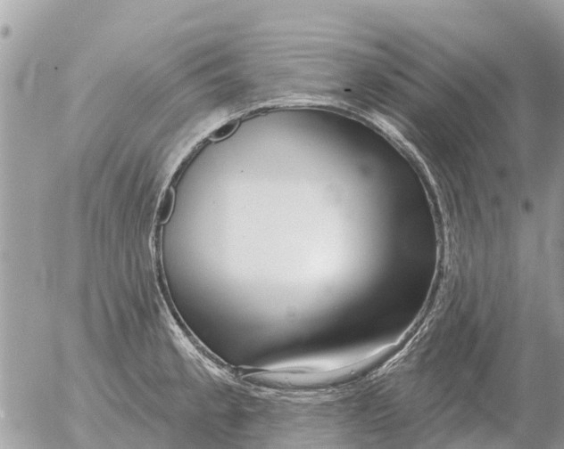 X0000054441189200508270005