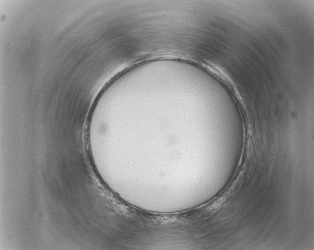 X0000054441190200508270005