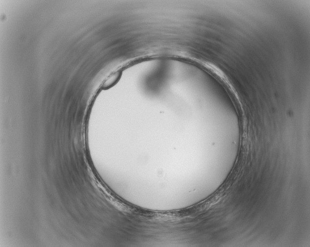 X0000054441191200508270005