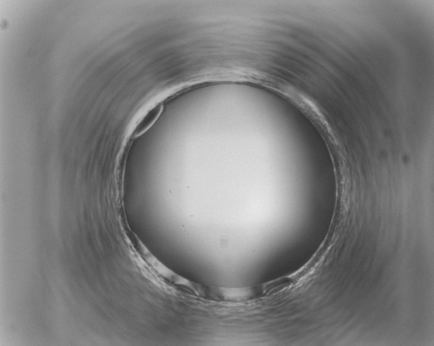 X0000054441192200508270005