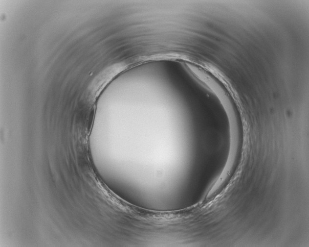 X0000054441193200508270005