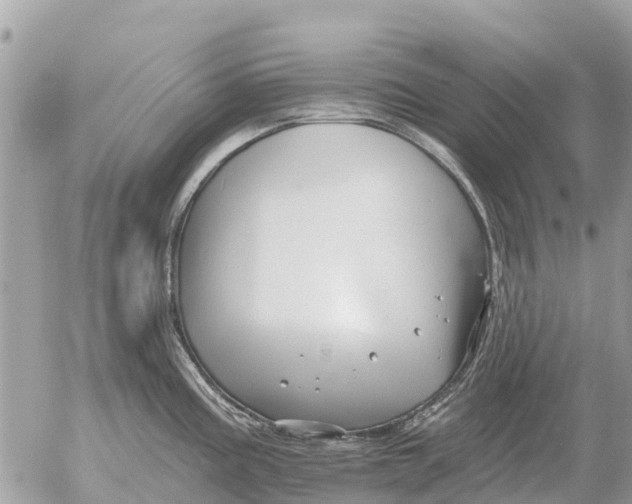 X0000054441195200508270005