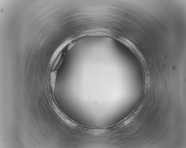 X0000054441196200508270005