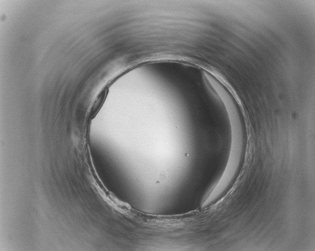 X0000054441197200508270005