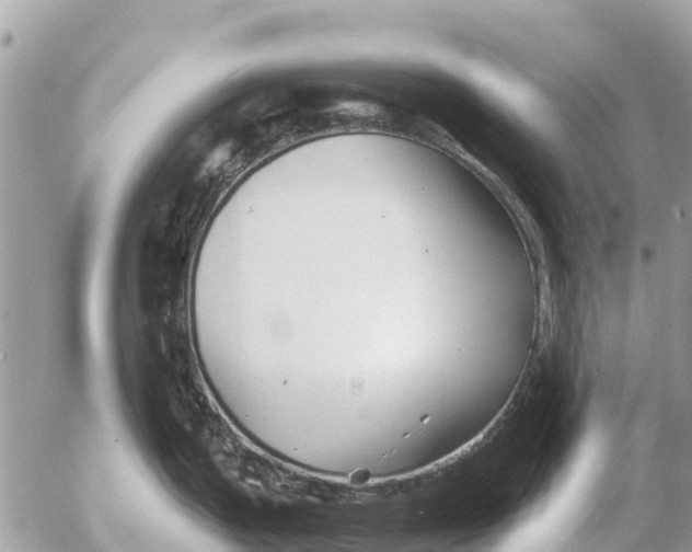 X0000054441199200508270005