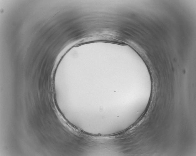 X0000054441200200508270005