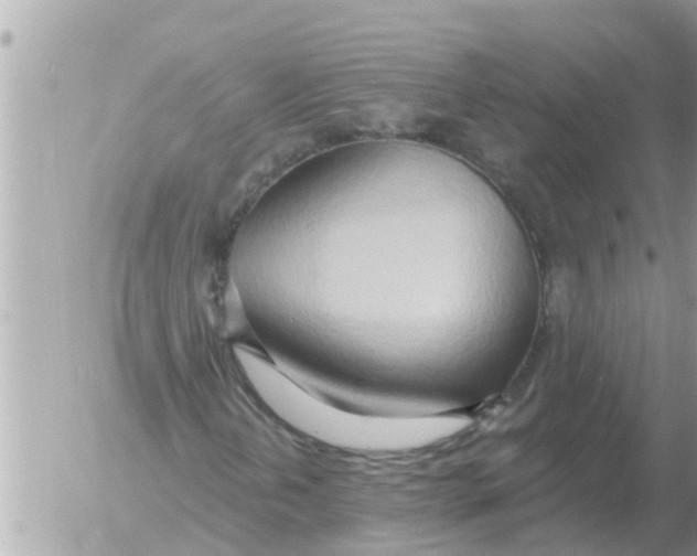 X0000054441202200508270004