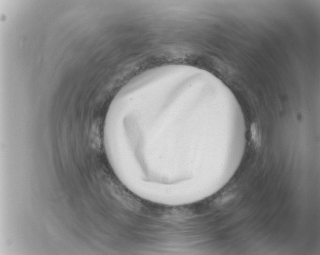 X0000054441203200508270004