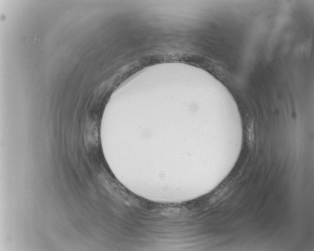 X0000054441204200508270004