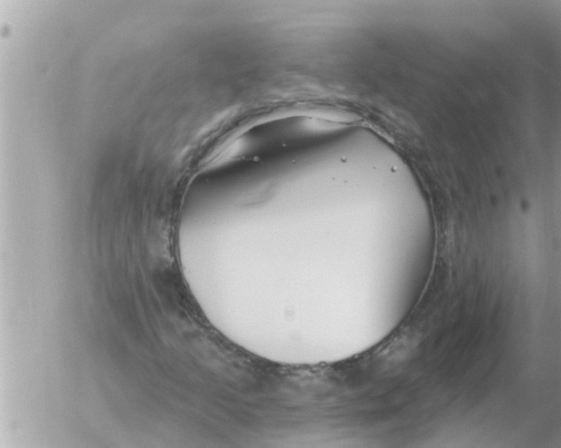 X0000054441205200508270004