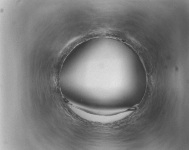 X0000054441206200508270004