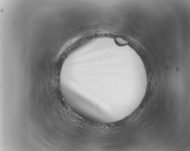 X0000054441207200508270004