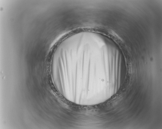 X0000054441208200508270004