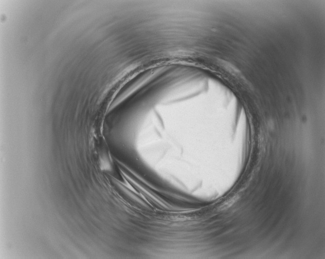 X0000054441209200508270004