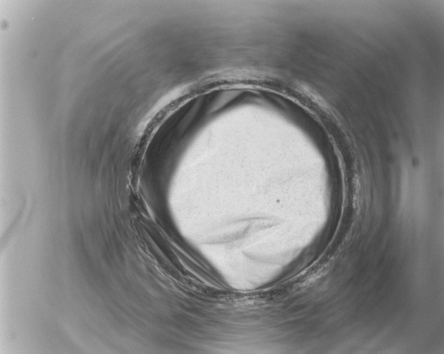 X0000054441213200508270004