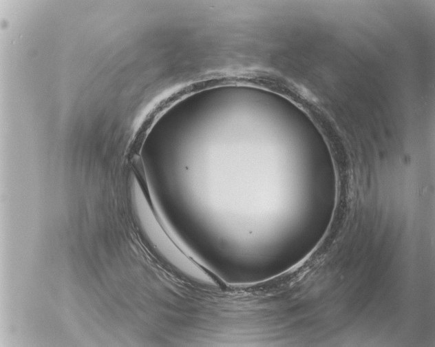 X0000054441214200508270004