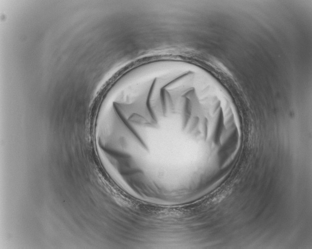 X0000054441216200508270004