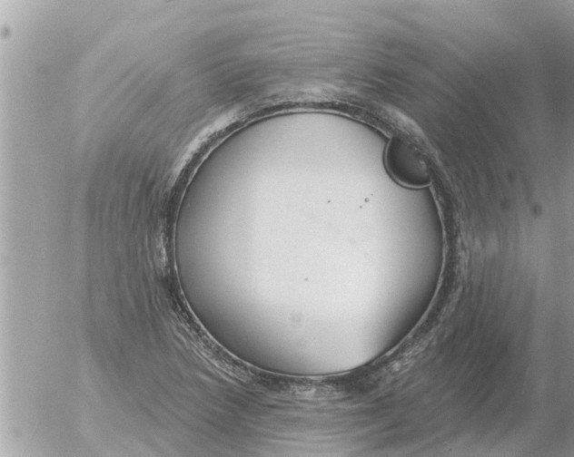 X0000054441218200508270004