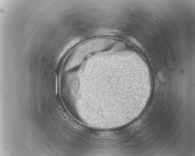 X0000054441219200508270004