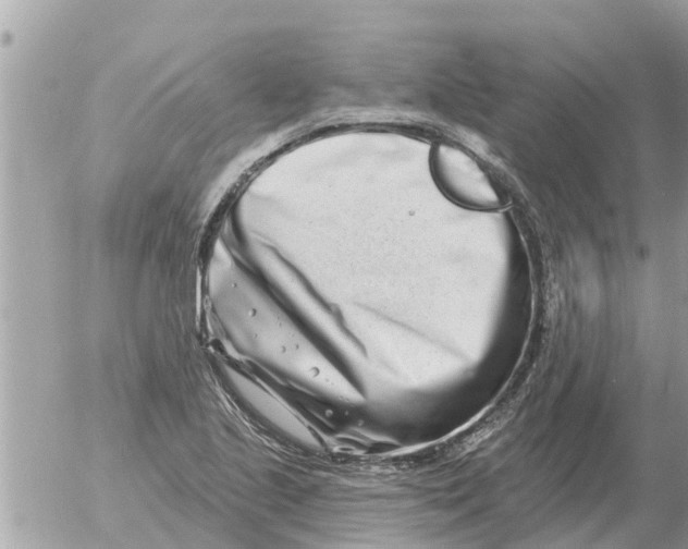 X0000054441221200508270004