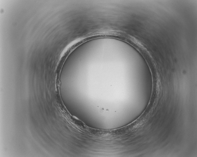 X0000054441222200508270004