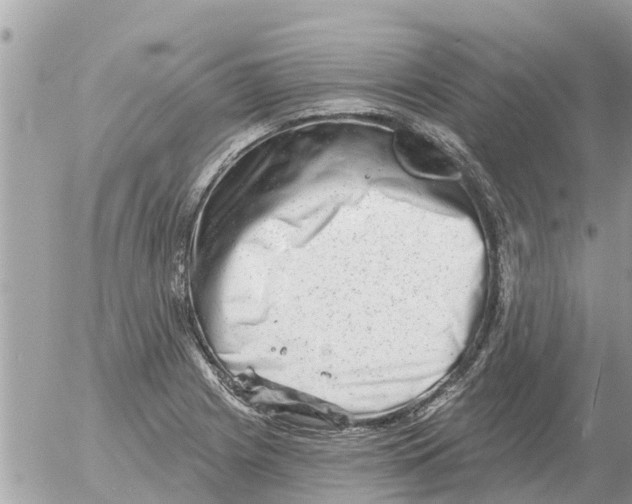 X0000054441225200508270004