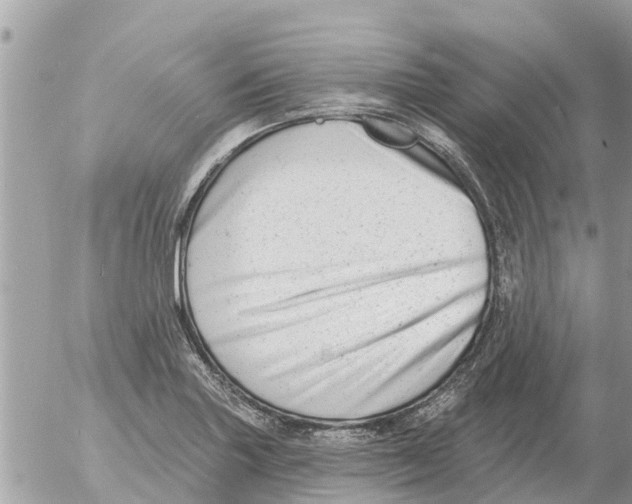 X0000054441227200508270004