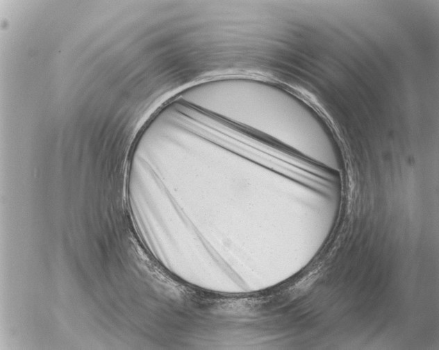 X0000054441228200508270004