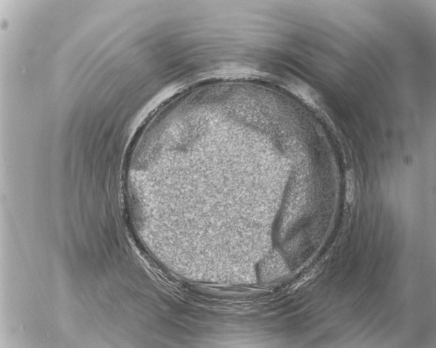 X0000054441229200508270004