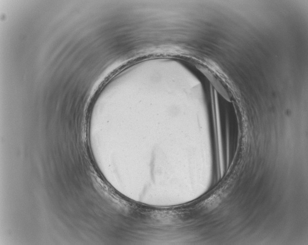 X0000054441232200508270004