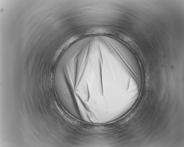 X0000054441233200508270004