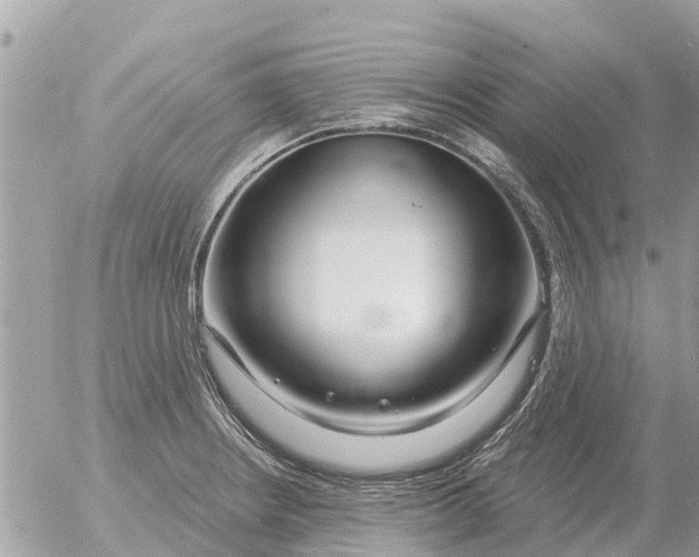 X0000054441234200508270004