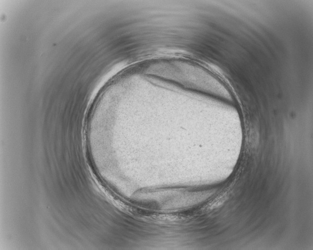 X0000054441235200508270004