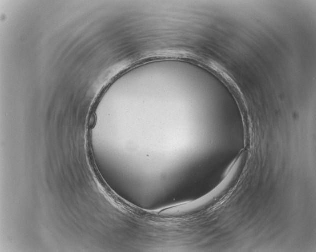 X0000054441237200508270004