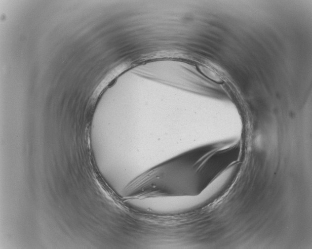 X0000054441241200508270004