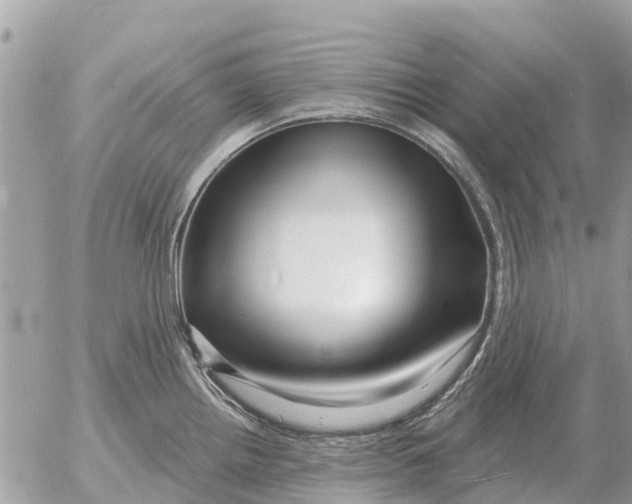 X0000054441242200508270004